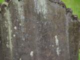 image of grave number 919720